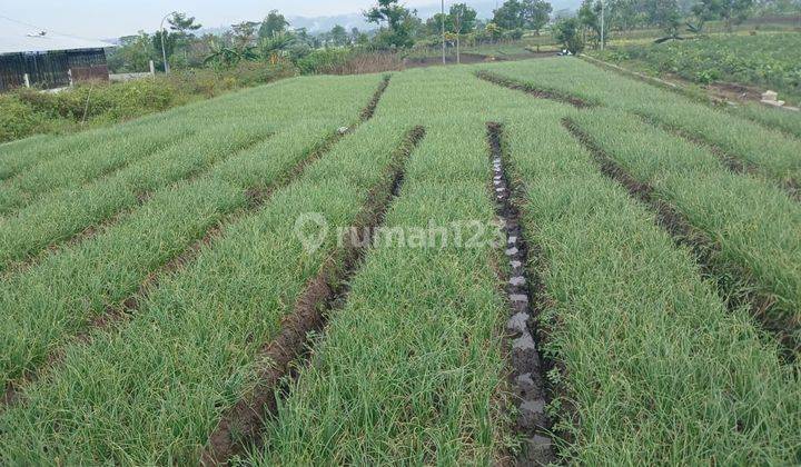 Tanah Murah Strategis Tepi Jalan Raya Junrejo Kota Batu  2