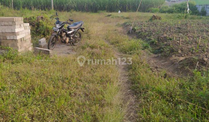 TANAH KAVLING HARGA BAGUS DI BULULAWANG KABUPATEN MALANG. 1