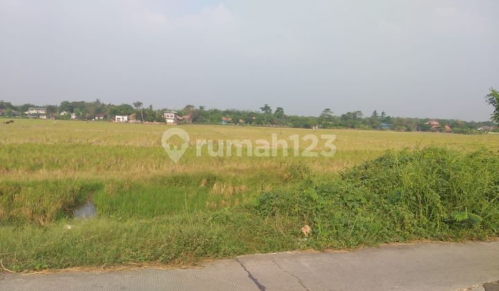 Gudang/Tanah ijin Industri Jatake Cikupa Tangerang