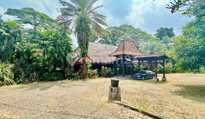 Kemang Tanah Dan Bangunan Harga Njop Dekat Simatupang Kemang Tanah Dan Bangunan Harga Njop Dekat Simatupang