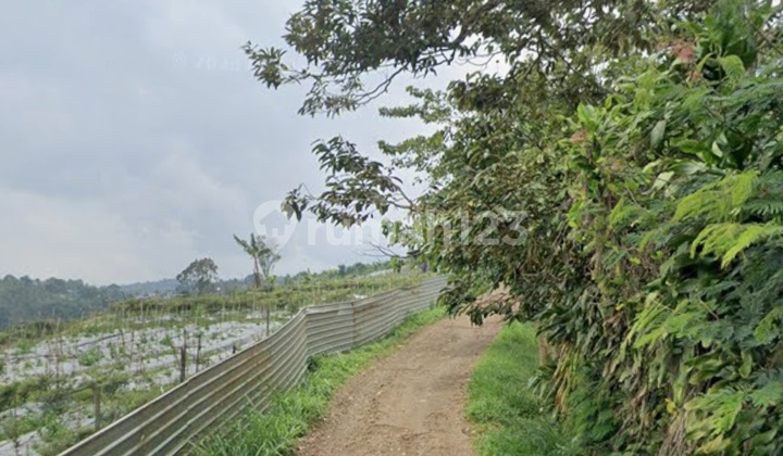 Tanah Sukaresmi Kutawaringin Cianjur Jawa Barat -+9rb Mtr 2,5m Nego