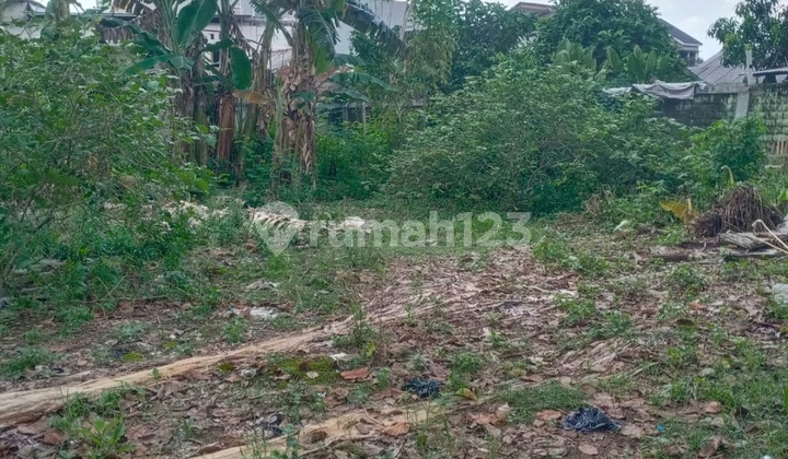 Tanah Murah 663mtr 6,5jt/m Di Lenteng Agung Jagakarsa Arah Ui