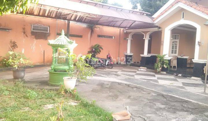 Rumah Furnish lenteng agung Jaksel luas 600mtr parkir 5mbl 2