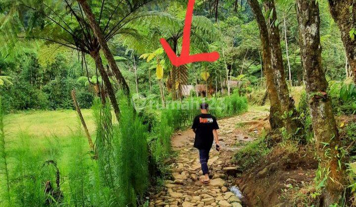 Tanah 300mtr 225rb/m kawasan wisata ramai lembah tepus, balong endah Bogor 2