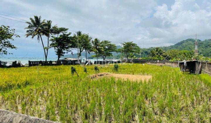 Tanah 2550mtr Shm cisolok pelabuhan ratu sukabumi depan pantai 4