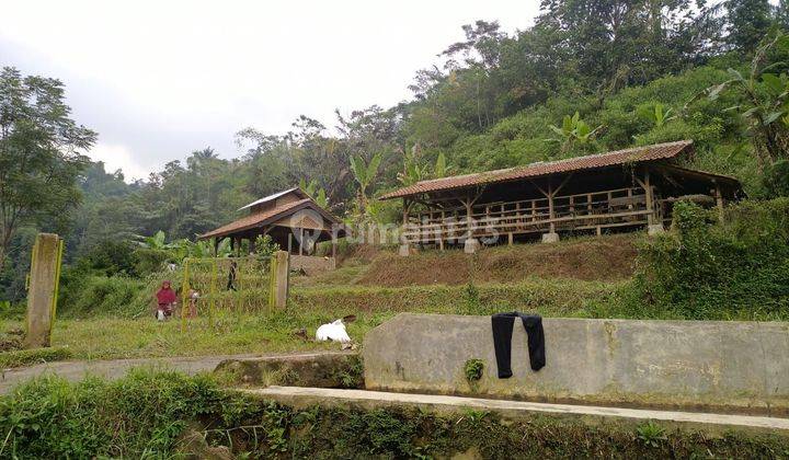 Dijual Tanah Matang Lembang Sari Ater Subang Bandung Barat 1