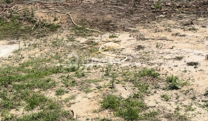 Dijual.cepat Tanah SHM dan Sudah Ada Izin untuk Bangun Perumahan Dijual.cepat Tanah SHM dan Sudah Ada Izin untuk Bangun Perumahan