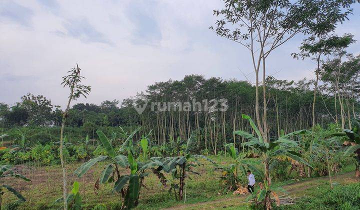 Dijual Tanah Strategis di Manjung Wonogiri 1