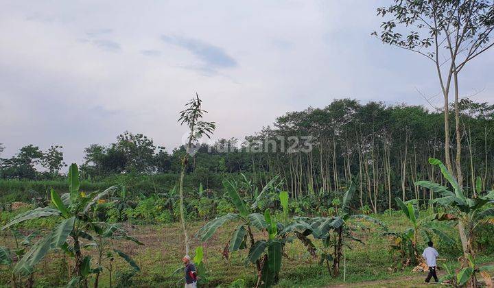Dijual Tanah Strategis di Manjung Wonogiri 3