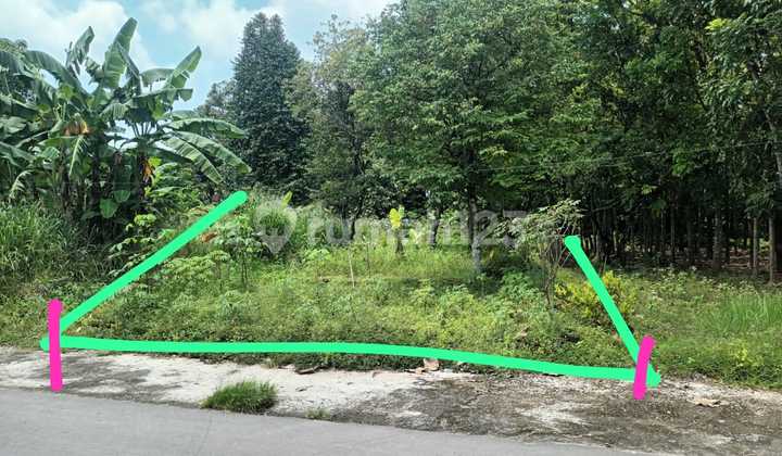 Dijual Tanah Pekarangan di Juwiring, Klaten
SHM, Hadap Utara 4