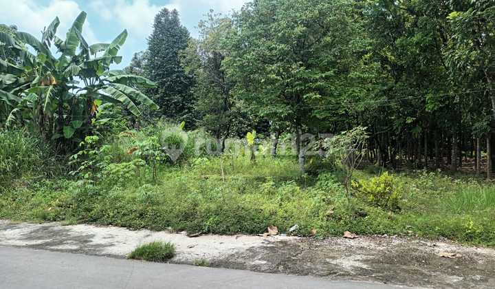 Dijual Tanah Pekarangan di Juwiring, Klaten
SHM, Hadap Utara 3