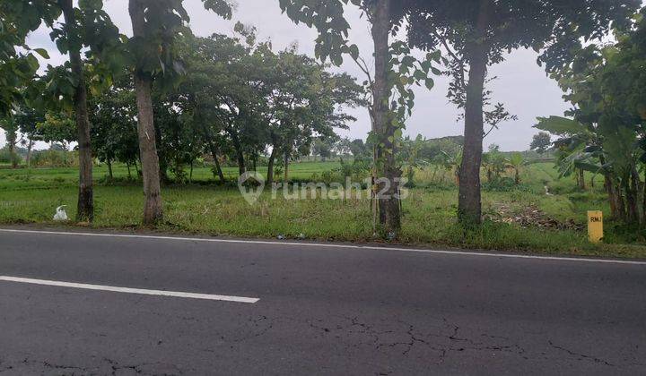 Tanah pekarangan pinggir jalan lingkar selatan karanganyar 1