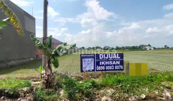 Tanah basah lokasi Bolon Colomadu 1