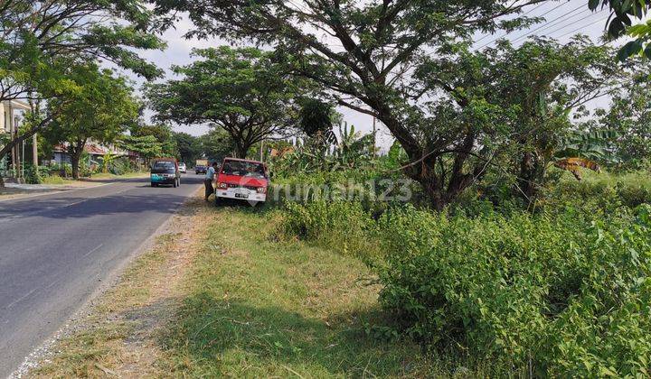 Dijual Tanah Kering 
Sudah Hurug
Kondisi Siap Pakai
Dekat Pintu Tol Ngawi, Jawa Timur 3