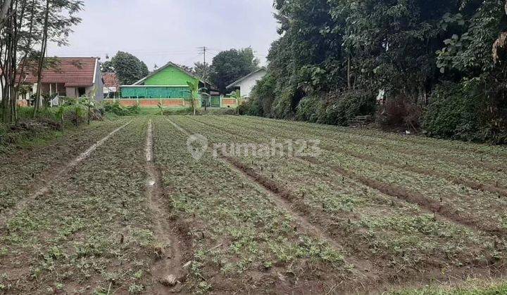 Tanah Pekarangan Strategis Di Gawanan Colomadu Solo Nego Sampai Deal 2