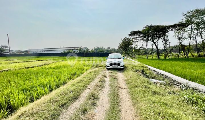 Dijual Tanah Siap Bangun Kawasan Industri Akses Truk Fuso Di Sidoharjo Sragen