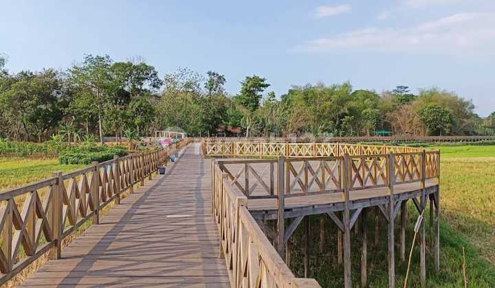 Tanah Pekarangan Pinggir Waduk Cengklik Boyolali Tanah Pekarangan Pinggir Waduk Cengklik Boyolali