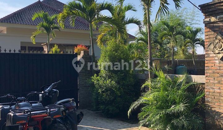 Dijual Cepat Rumah Mewah Lokasi Dekat 3 Wisata Alam Di Kota Ngawi Jawa Timur  1