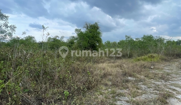 Tanah Zona Merah di Wonogiri Cocok Dibangun Gudang Tanah Zona Merah di Wonogiri Cocok Dibangun Gudang