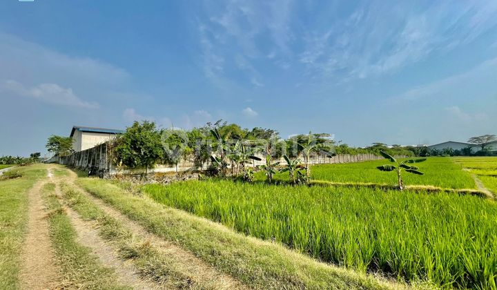 Tanah Siap Bangun Kawasan Industri di Sidoharjo Sragen Solo