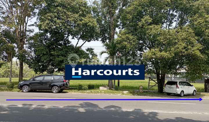 Tanah Pekarangan Strategis Dekat Kantor Dprd Solo Tanah Pekarangan Strategis Dekat Kantor Dprd Solo