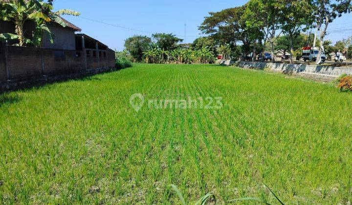 Tanah Murah Strategis Siap Bangun Cocok Untuk Usaha Dan Gudang Di Telukan Sukoharjo Dekat Solo Baru 1