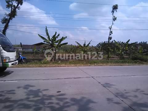 Ready-to-Build Residential Land in Purwodadi