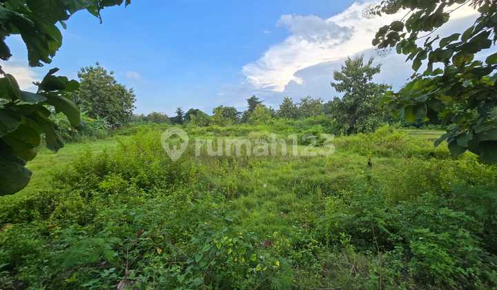 Affordable Land Near the Bengawan Solo River, Suitable for Residential, Housing, and Commercial Spaces