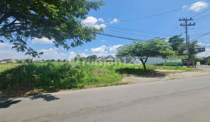 Tanah Strategis Siap Bangun Gudang Atau Ruang Usaha Di Colomadu Dekat Pintu Tol Dan Kartasura Tanah Strategis Siap Bangun Gudang Atau Ruang Usaha Di Colomadu Dekat Pintu Tol Dan Kartasura