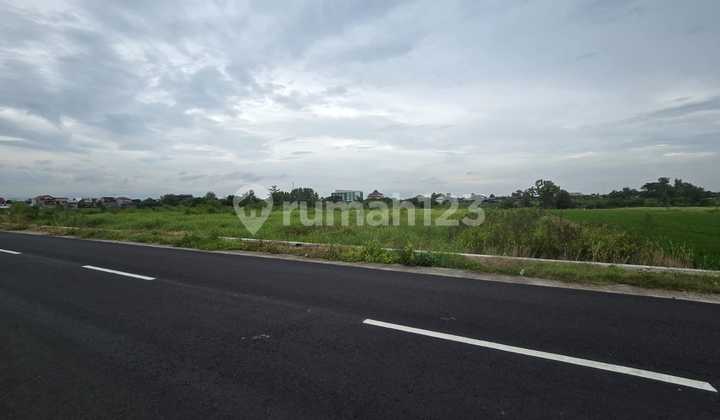 Tanah Strategis Dekat Jalan Raya Solo-Jogja. Cocok untuk Gudang atau Industri Ringan