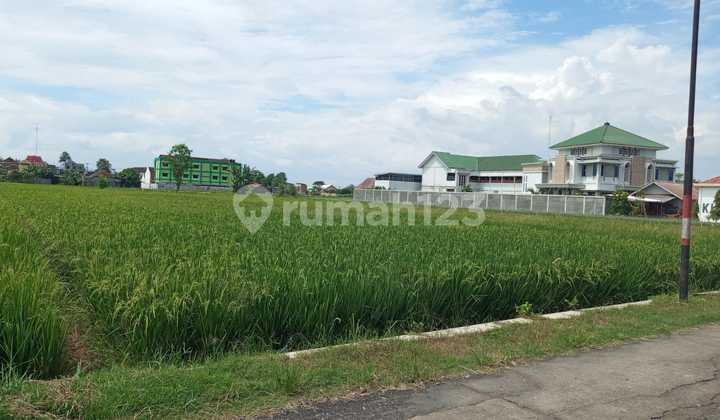 Dijual Tanah Sawah Zona Kuning Lokasi Joho - Sukoharjo
