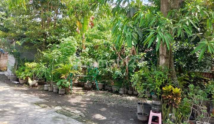 Dijual Tanah Pekarangan Dekat Alun Alun Sukoharjo Lokasi Sukoharjo Kota