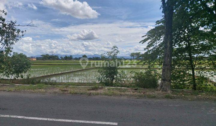 Tanah Kering Siap Bangun Strategis Di Sukoharjo Dekat Grogol Solo 1