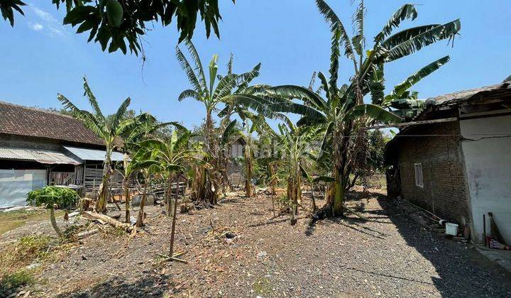 Tanah Pekarangan Luas Di Plesungan Dekat Mojosongo Solo 1