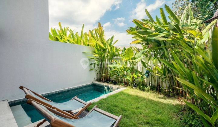 Modern One Bedroom Loft in Babakan, Canggu This 1-bedroom loft in the tranquil Babakan, 2 MINUTE DRIVING FROM BATU BELONG area of Canggu  IP 570 2