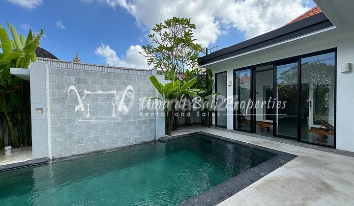 3BR VILLA FOR RENT IN BATU BELIG | IP 396  1