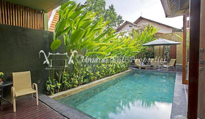 Rumah Kontrakan 2 Lantai Bagus Furnished SHM di Umalas, Badung Ar 222 2