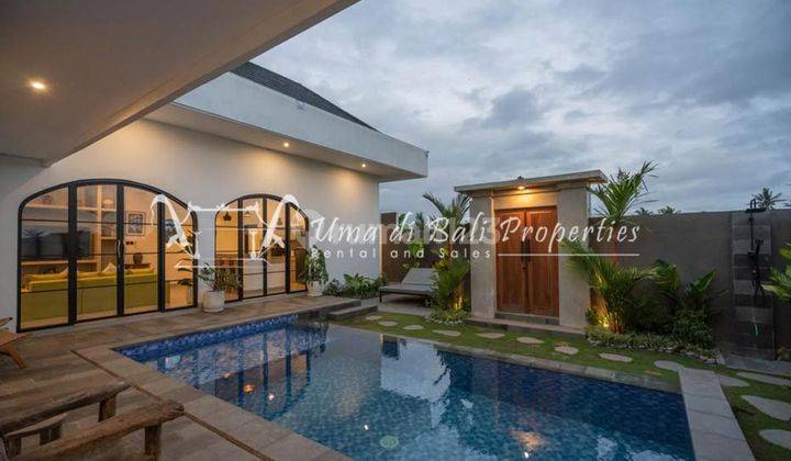 Rumah Kontrakan Bagus Furnished SHM Buwit, Tabanan IP 602 1