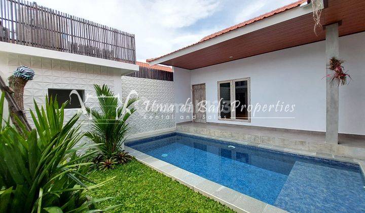 Rumah Kontrakan Semi Furnished Bagus SHM Kerobokan, Badung IP 547 1