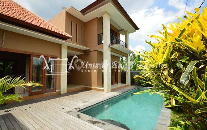 Rumah Kontrakan 2 Lantai Bagus Furnished SHM di Canggu, Badung 1