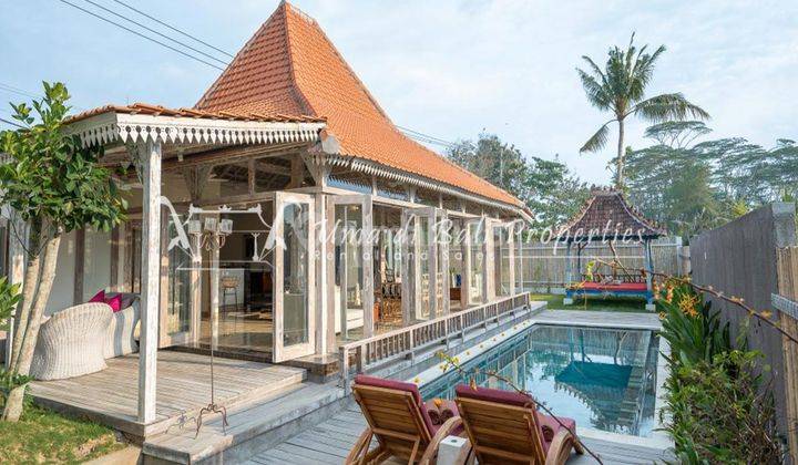 Rumah Kontrakan Bagus Furnished SHM Nyanyi, Badung IP 605 2