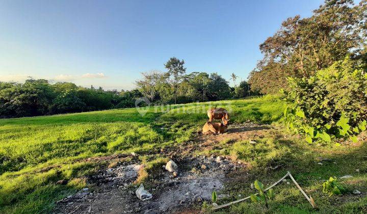 Dijual Tanah Lingkungan Villa Dan Los Sungai Di Buwit Tabanan Bali Udb 526 Tanah Pribadi 5