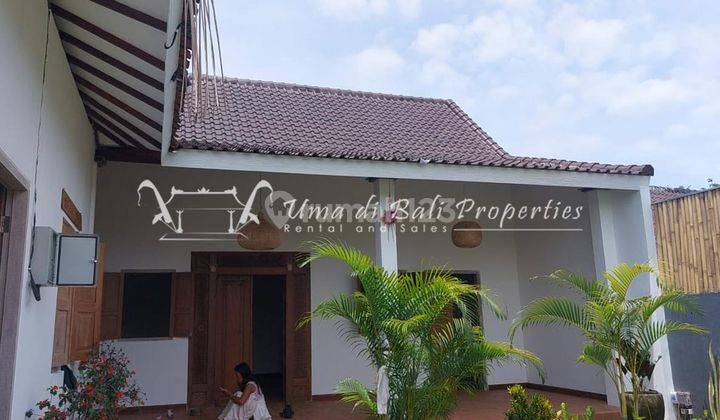 Villa Gandhi Cemagi It 604 Minim 10 Years Lease 3