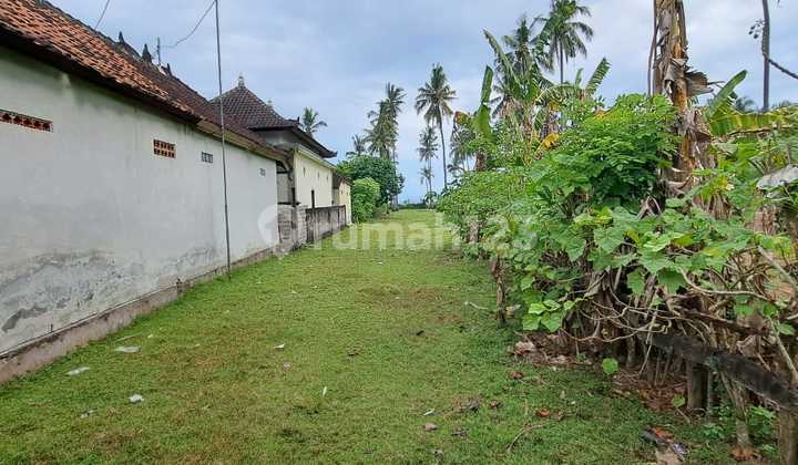 Dijual Tanah Los Pantai di Perancak Negara Udb 689 7