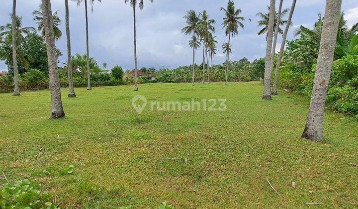 Dijual Tanah Los Pantai di Perancak Negara Udb 689 9