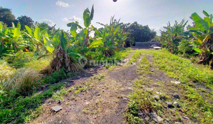 Dijual Tanah Plot Kecil Tumbak Bayuh Pererenan Udb 764 2
