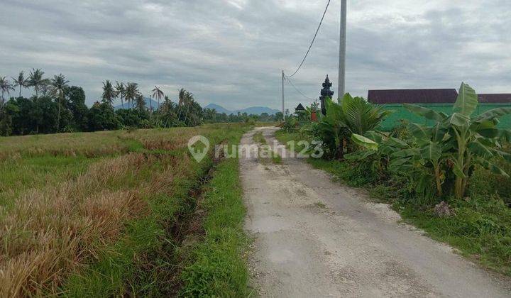 Tanah For Sale Freehold di Pantai Pererenan Udb 800 1