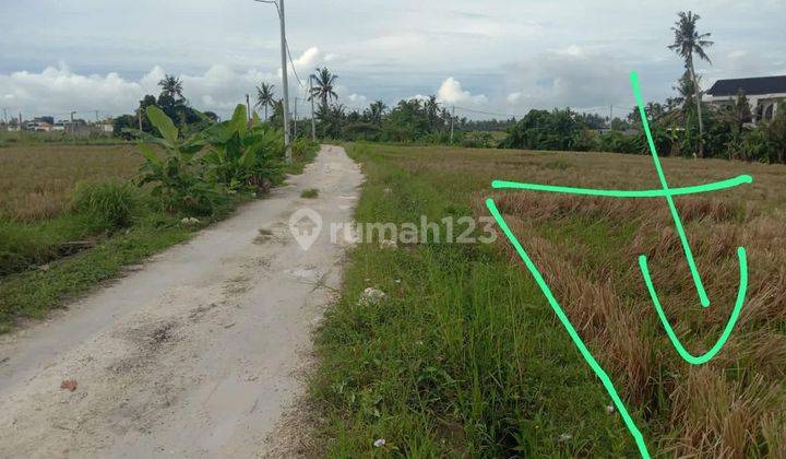 Tanah For Sale Freehold di Pantai Pererenan Udb 800 5