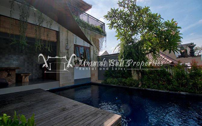 Villa Kapal Canggu It 062, Minimum 3 Years Lease 5