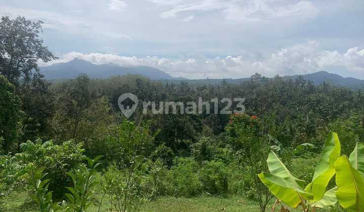 Dijual Global Tanah di Melaya Jembrana, Bali Le 010 7